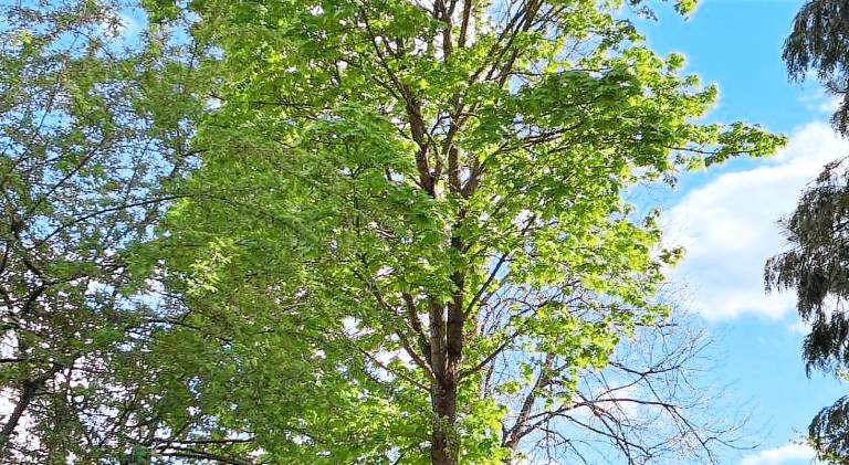 38 m&sup2; Ferienwohnung