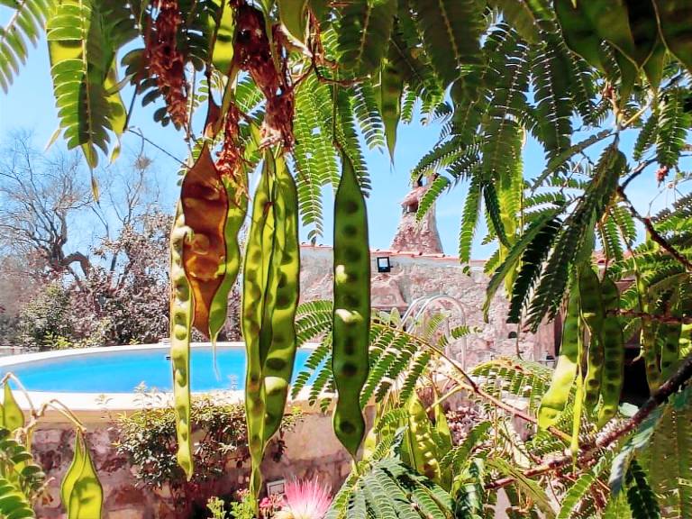 Pleasant house with garden, barbecue & private pool | Nature view | Pets are welcome — photo 4