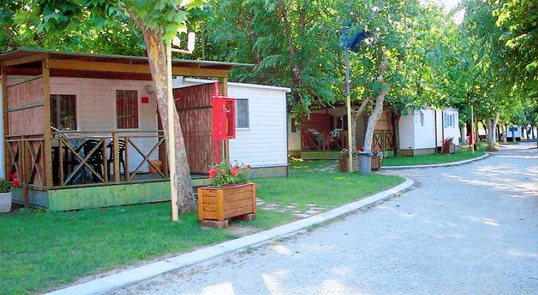 Villaggio Camping delle Rose - Gatteo a Mare — photo 5