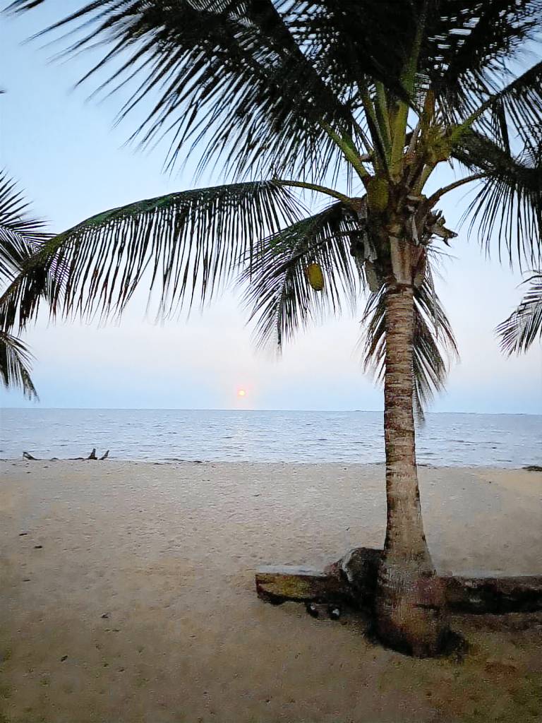 Apartment Placencia