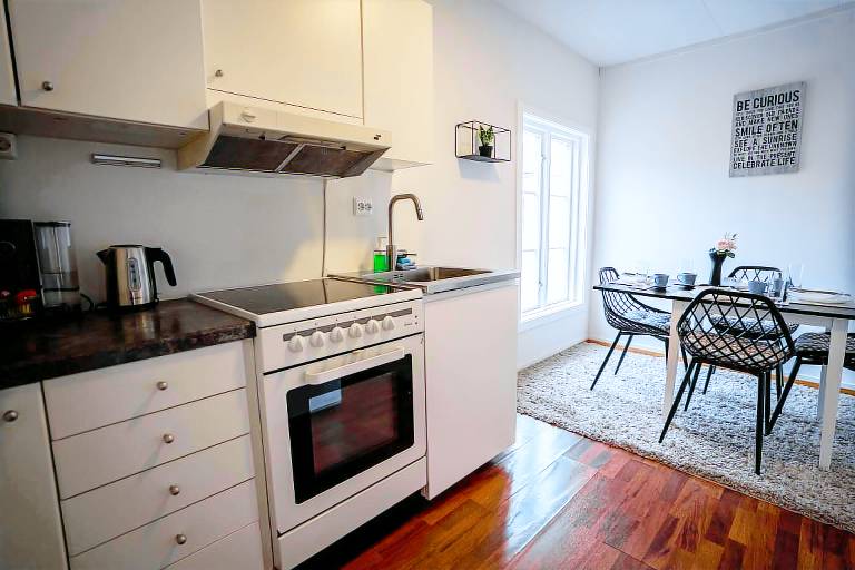 Apartment with sauna — photo 4