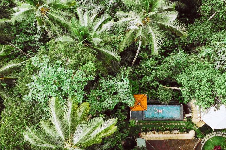 The Nest in Ubud · Jungle · Boutique Stay · Pool · Bathtub · Central Ubud in Ubud