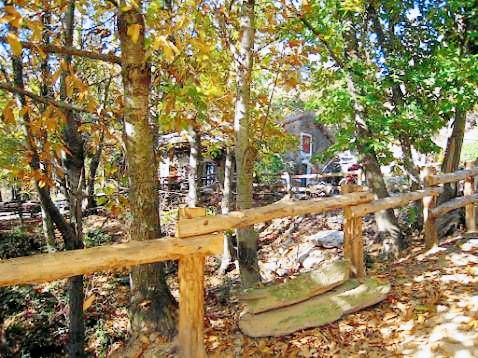 Pleasant lodge | Pet-friendly in Carrara