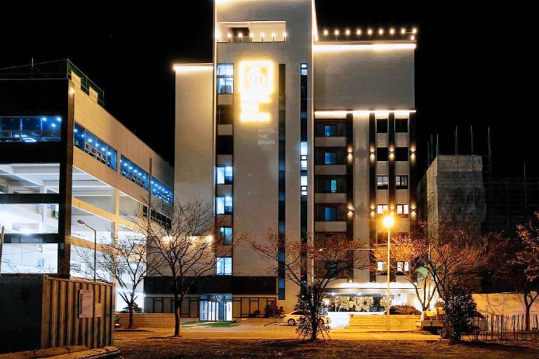 The Brain Hotel