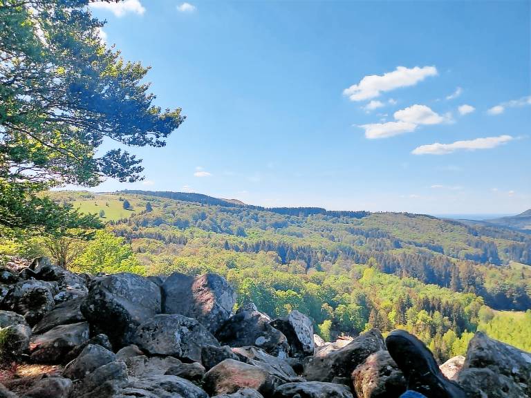 foto3