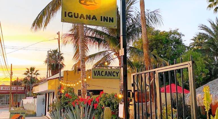 Iguana Inn — photo 3