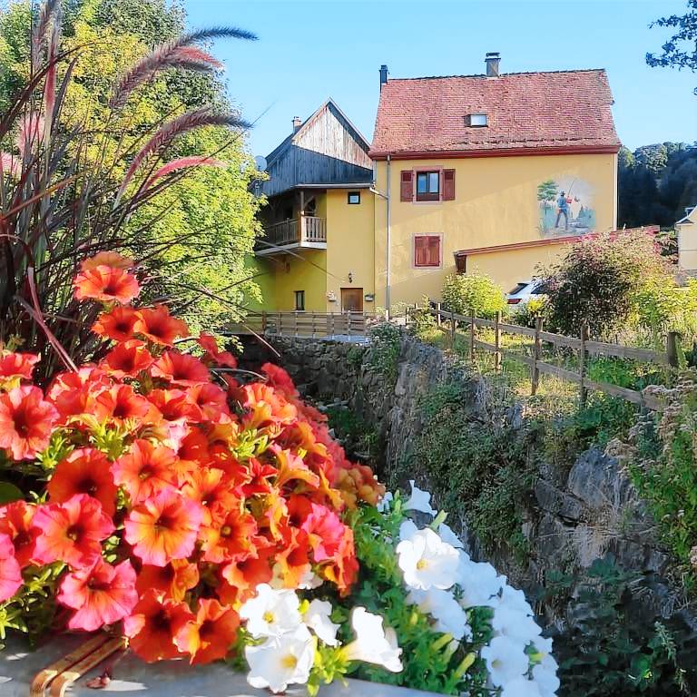 Maison de vacances Munster