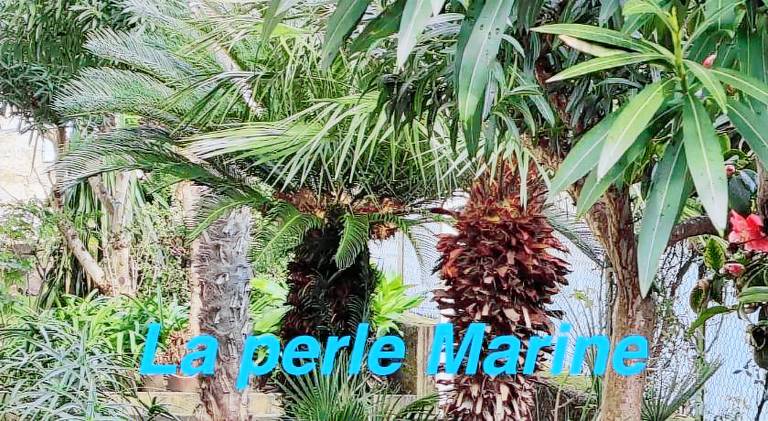 Rental apartment with 2 rooms for 6 persons in Diano Marina