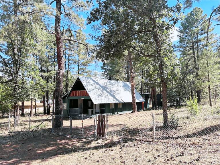 Cabin Show Low