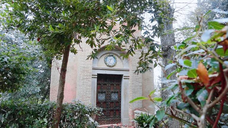 Appartamento  Fauglia