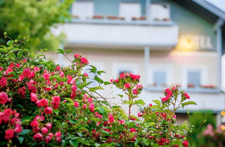 Gartenhotel Salzachgarni (DE Burghausen) - Mitterer - 002 — photo 4