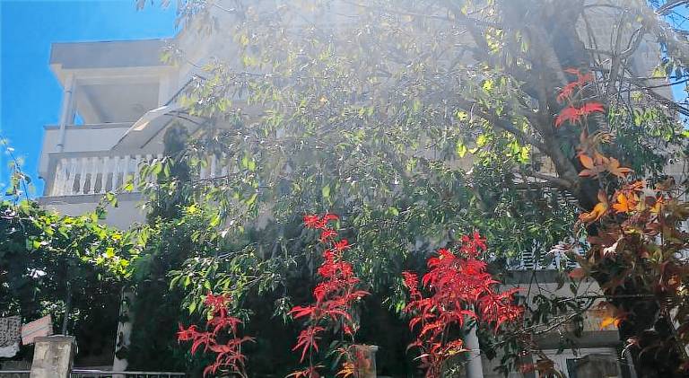 Apartment with garden, patio & barbeque in Budva