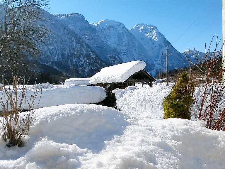 Ferienwohnung Obertraun
