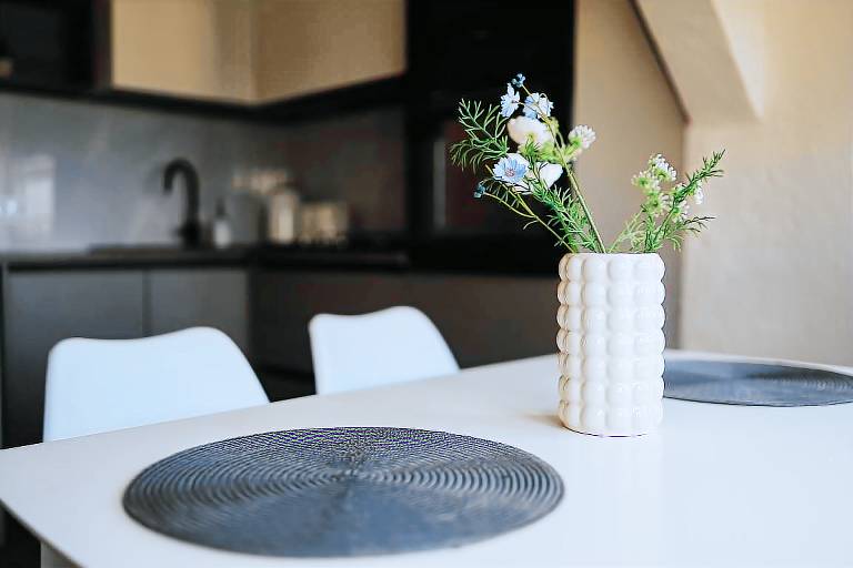 Ferienwohnung  Rîșcani