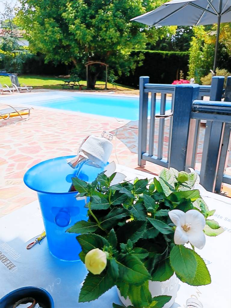 Holiday apartment with garden, terrace & barbeque | Pool view — photo 5