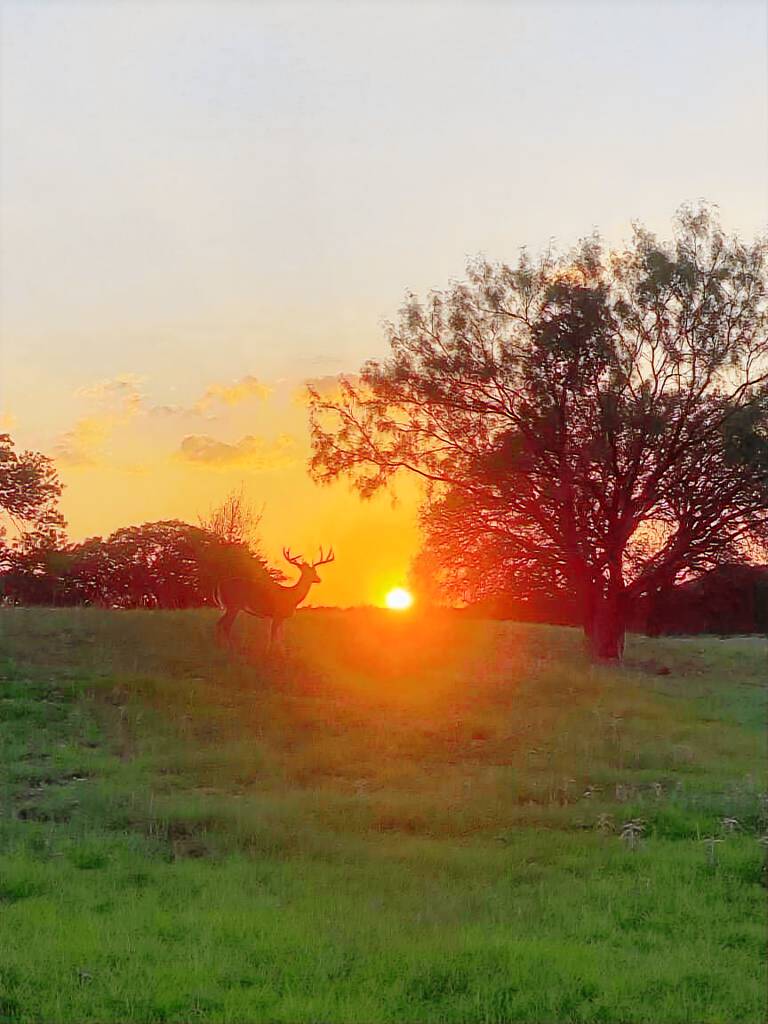 Lodge  Lampasas