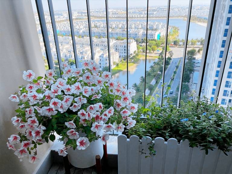 foto3