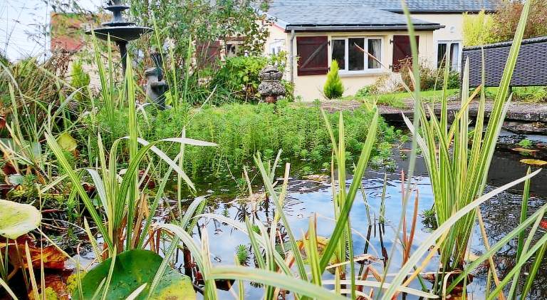 House | Dogs allowed in Mayenne