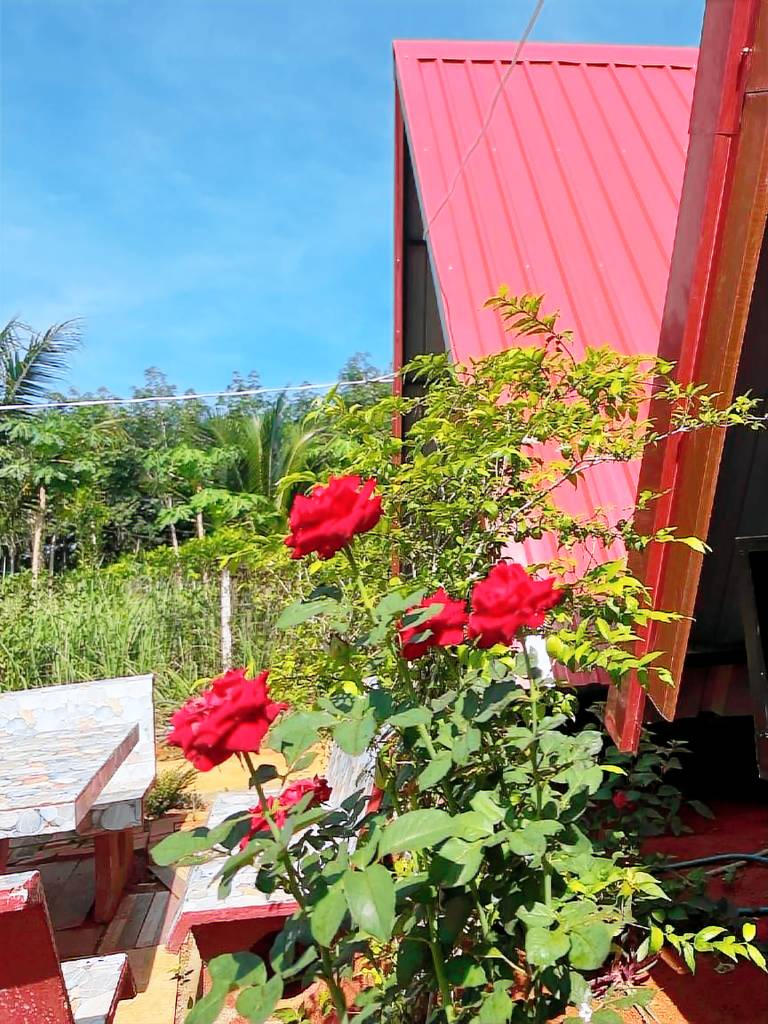 Rental apartment with 1 room for 2 persons — photo 4