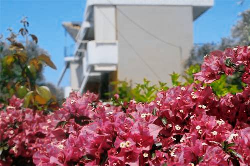 Δωμάτιο με πρωινό Παραλία Αρτολιθια