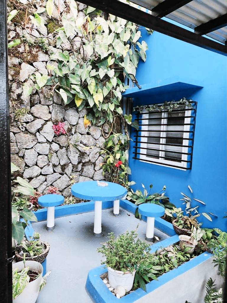 Blue House — photo 5