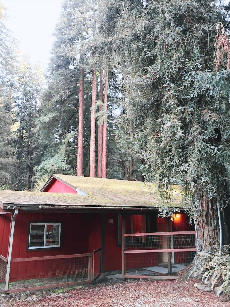 Cabin  Ben Lomond