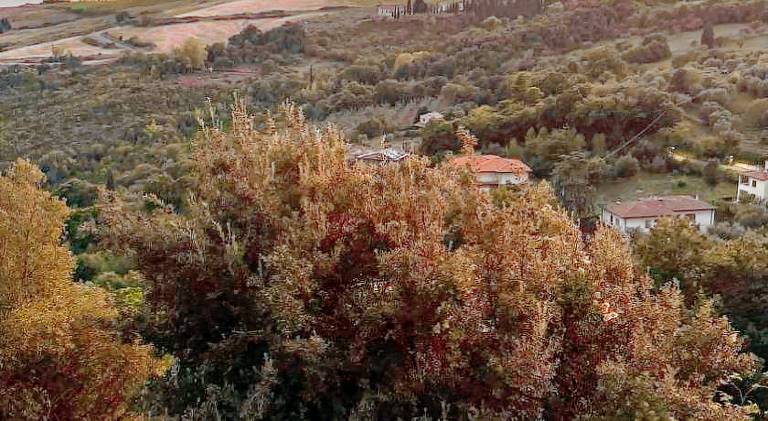 Rental apartment with barbeque, garden & patio in Montecatini Val di Cecina