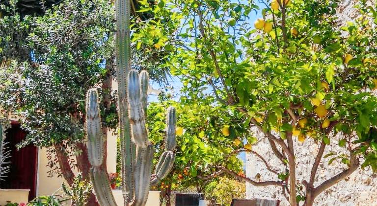 Wonderful lodge with yard, patio & grill | Pets are welcome in Apokoronas