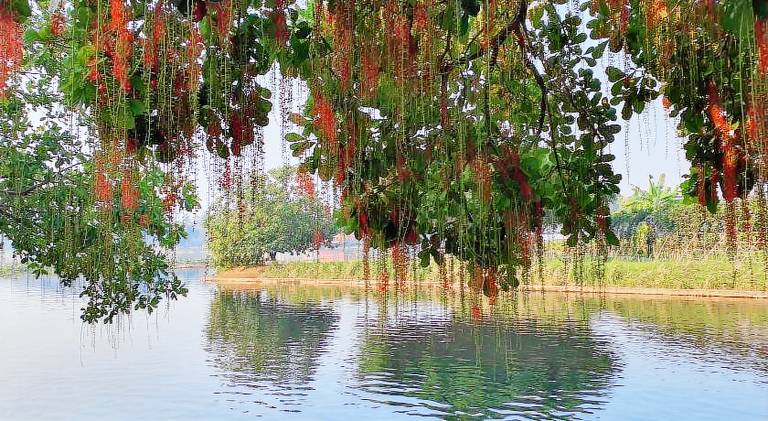 Ploy Resort — photo 5