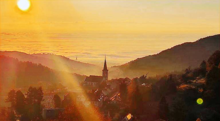 Rental apartment with 2 rooms for 4 persons in Riquewihr