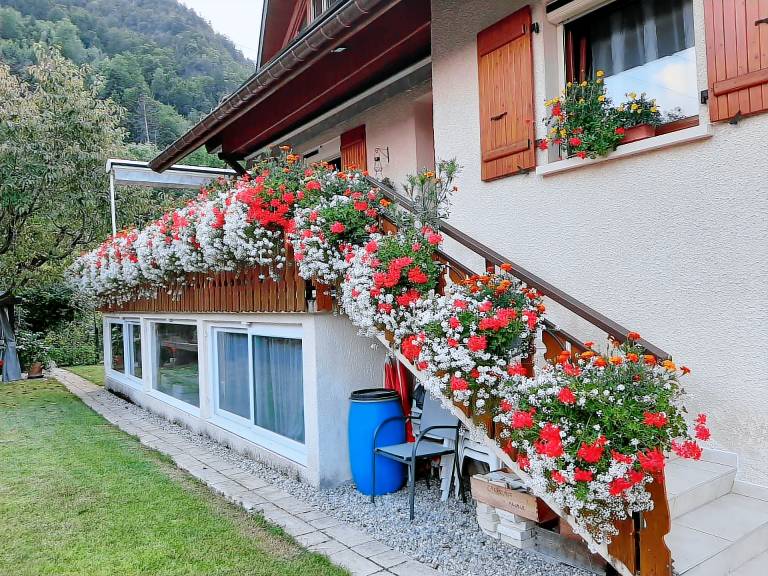 Appartement Thônes
