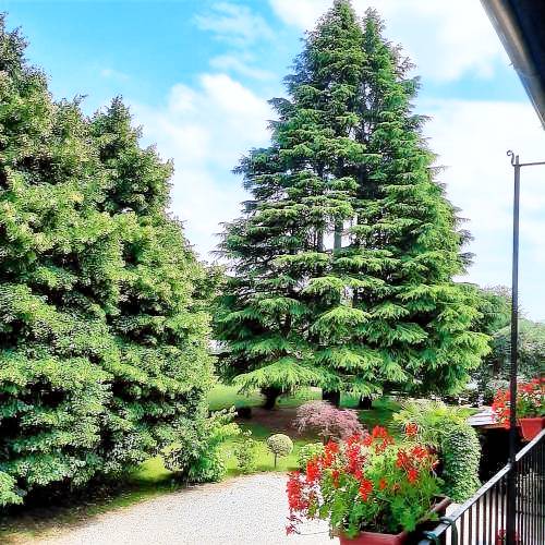 Bed & Breakfast  Cassano Magnago