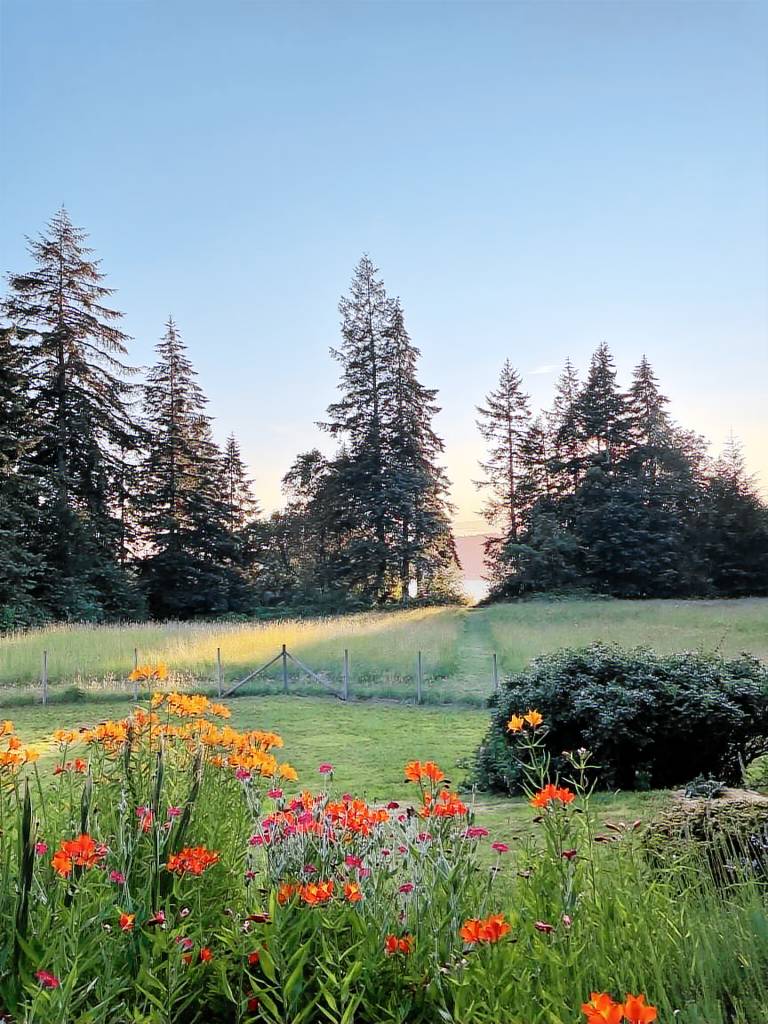 House Vashon