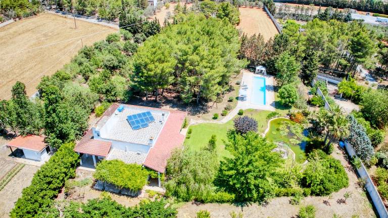 Stunning country mansion with huge pool & park — photo 3