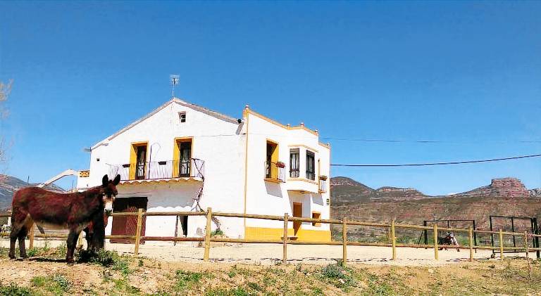 Spacious vacation home | Dogs allowed in Huesca