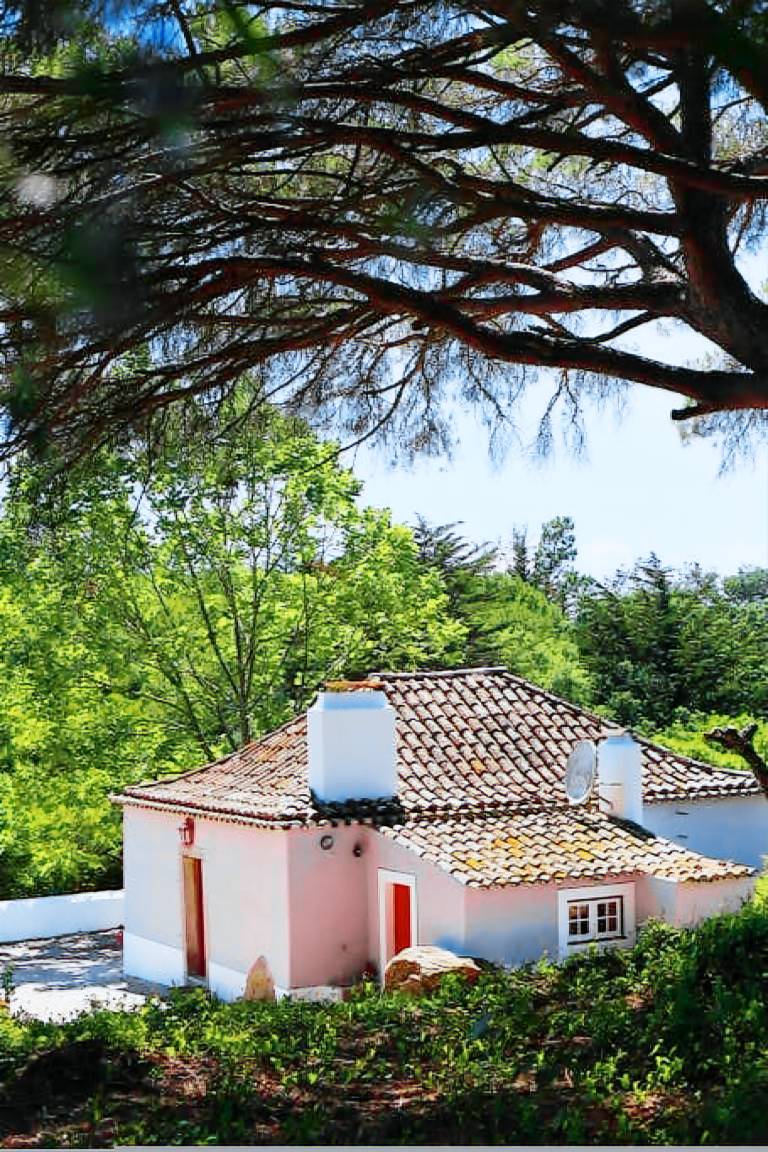 foto4