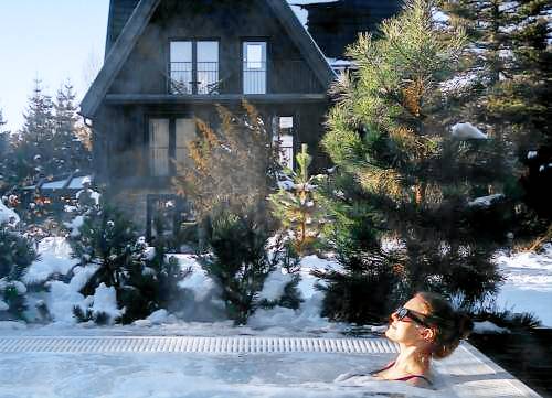 Lodge with terrace, hot tub & sauna — photo 4