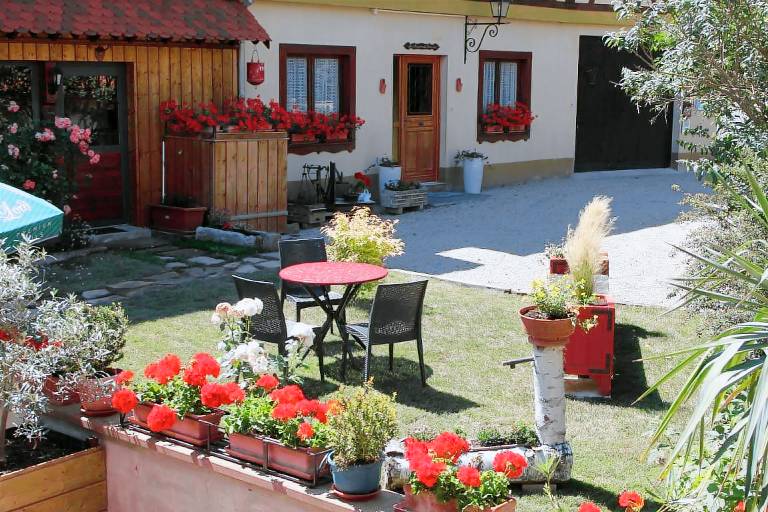 foto4