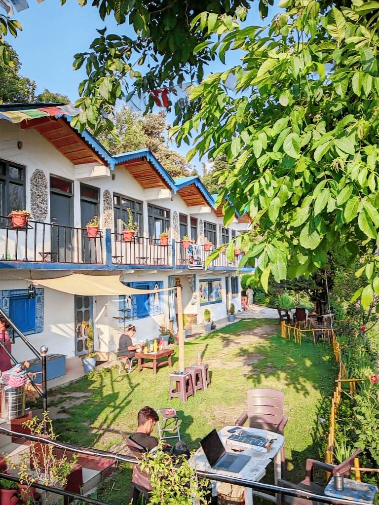 Falcon Homestay in Rajgarhi