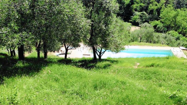 Ferienhaus Massa e Cozzile