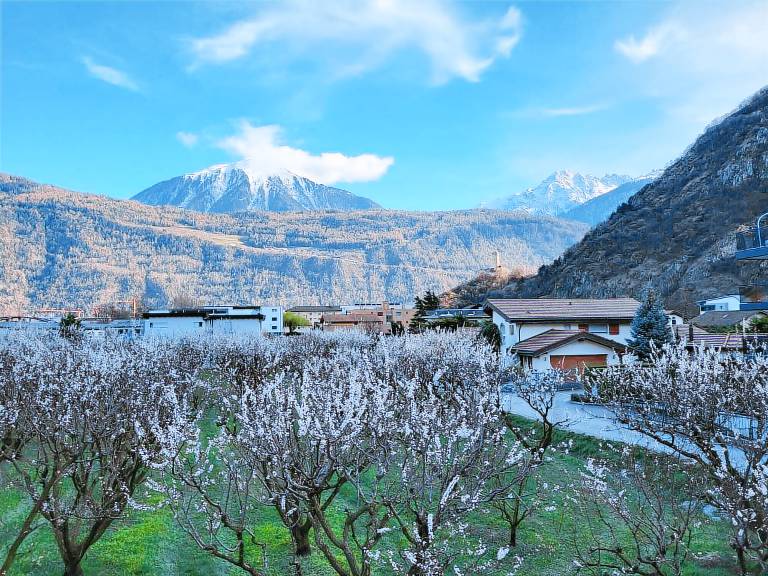 Appartement Martigny
