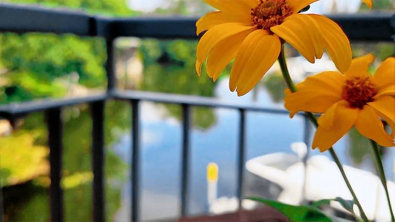 Ferienwohnung  Brandenburg an der Havel