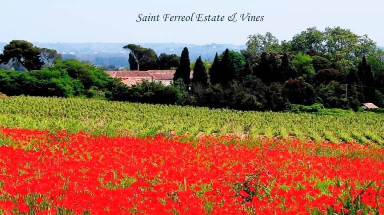 Villa  Fontès
