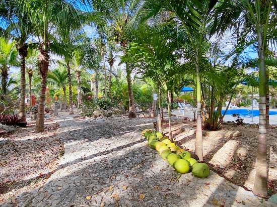 Villa Tortugas — photo 4