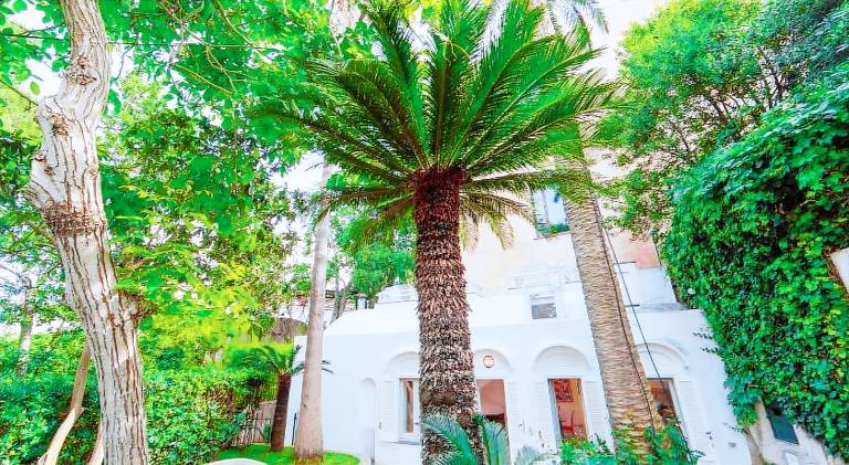Charming apartment | Pets are welcome — photo 4