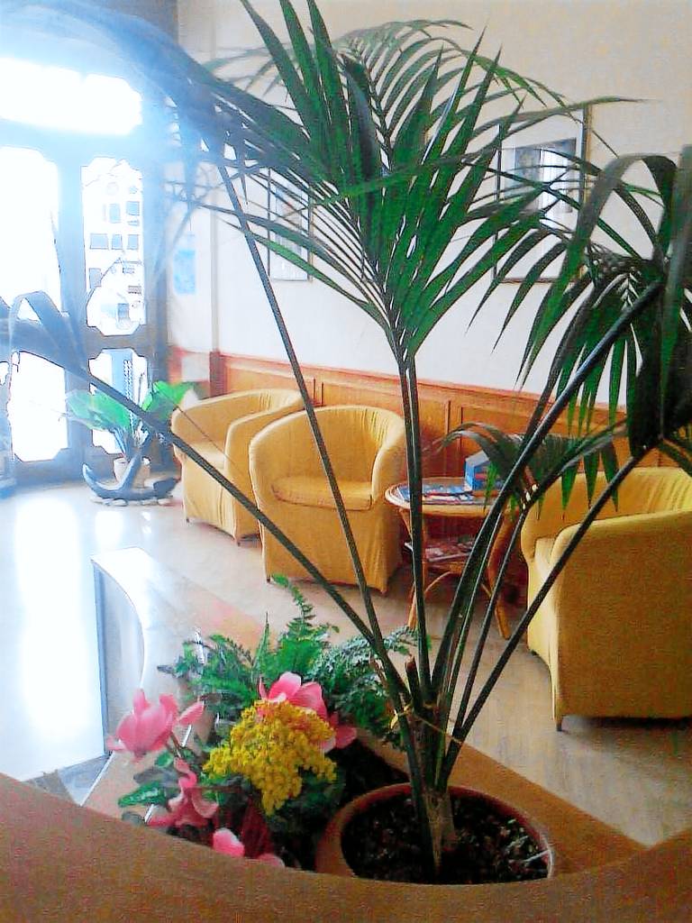 Hotel L'Approdo — photo 5