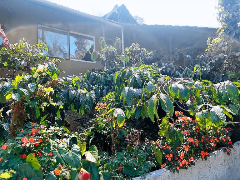 Coorg Hidden Valley Estate Stay — photo 5