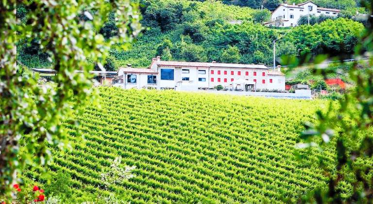 Casale Tarzo