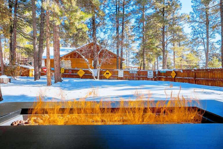 Cabin Pagosa Springs