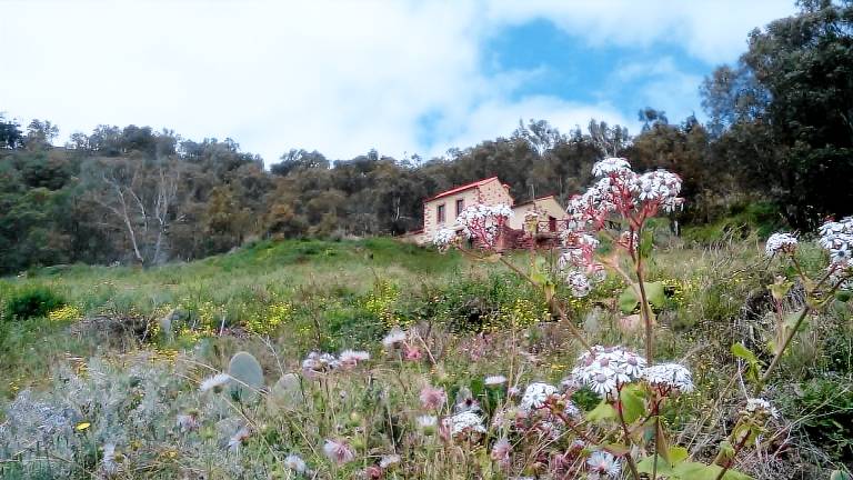 Farmhouse  Teror